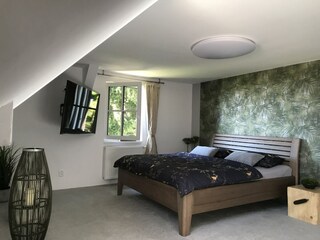 Villa Zlatá Olešnice  42