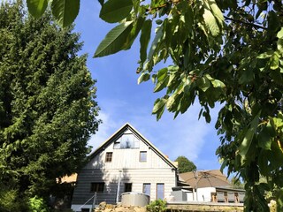 Villa Zlatá Olešnice  54