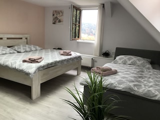 Villa Zlatá Olešnice  29