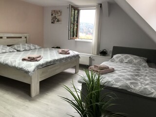 Villa Zlatá Olešnice  31