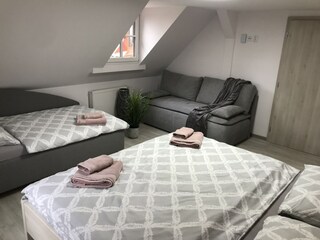 Villa Zlatá Olešnice  53