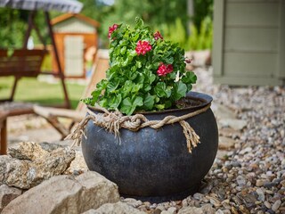 Villa Albrechtice v Jizerských horách  55