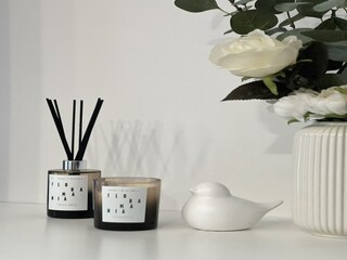 Apartment Doksy  6