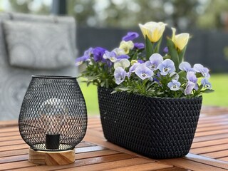 Appartement Doksy  41