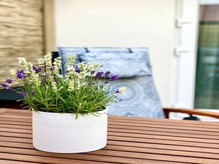 Apartment Doksy  48