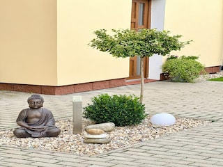 Apartment Doksy  15