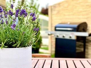 Apartamento Doksy  25