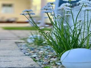 Apartamento Doksy  53