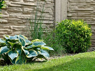 Apartamento Doksy Grabación al aire libre 3