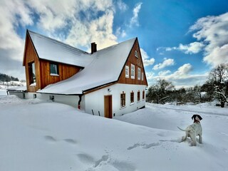Villa Poniklá  18