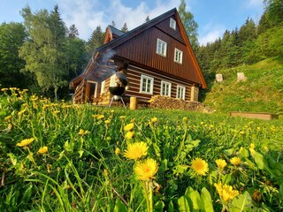 Villa Rokytnice nad Jizerou Buitenaudio-opname 6