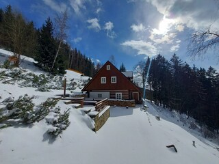 Villa Rokytnice nad Jizerou Buitenaudio-opname 5
