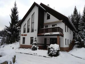 Ferienhaus Wohnung in Harrachov mit Grill - Harrachov - image1