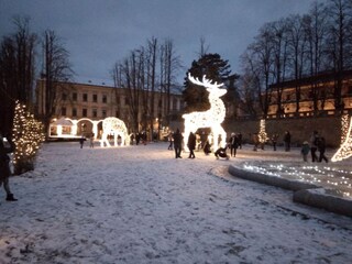 Ferienhaus Parezska Lhota Umgebung 30