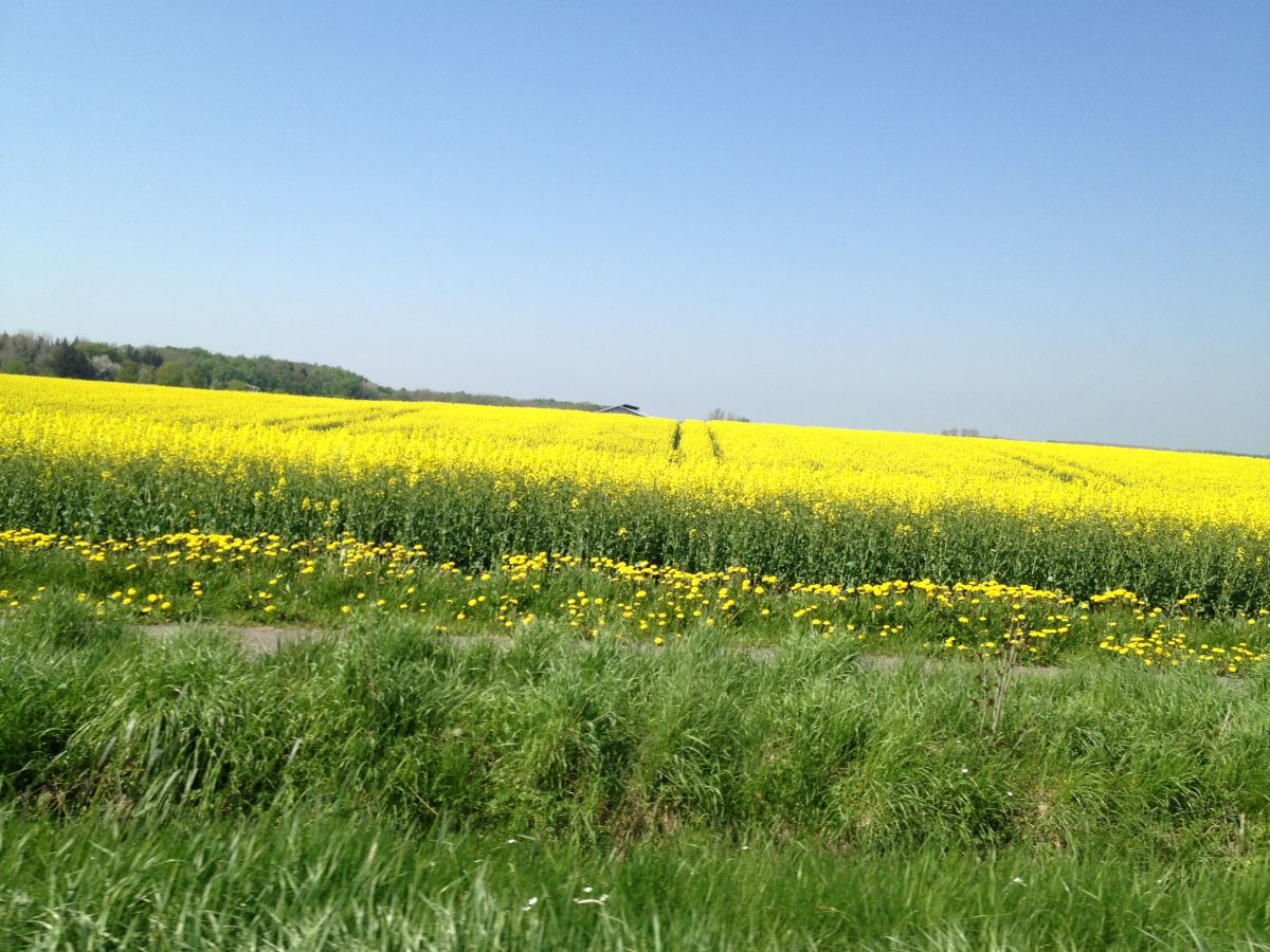 Traum-ferienwohnungen.de