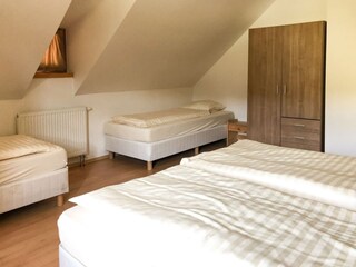 Villa Trutnov Características 18