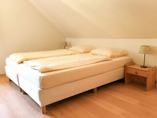 Villa Trutnov Caratteristiche 21