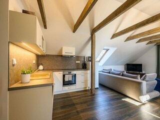 Villa Trutnov Características 31