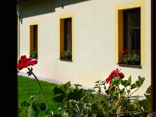 Villa Trutnov Outdoor Recording 4