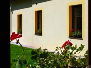 Villa Trutnov Outdoor Recording 5