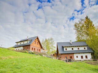 Villa Trutnov Außenaufnahme 13