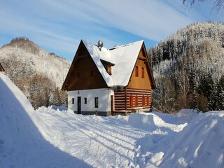 Villa Trutnov Außenaufnahme 15