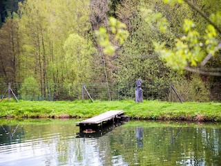 Villa Trutnov Outdoor Recording 8