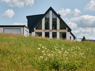Villa Radvanice  43