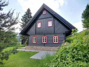 Villa in Horni Marsov met tuin - Horní Maršov - image1