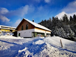 Villa Černý Důl  37