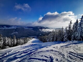 Villa Černý Důl  32