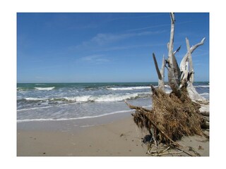 Weststrand