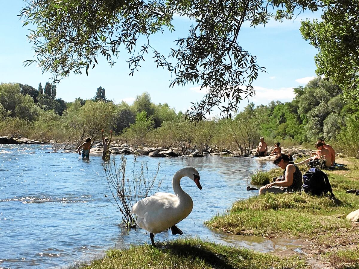 Erholung, Baden und Grillen bei den Isteiner Schwellen