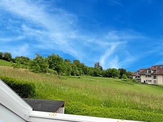 Vakantieappartement Bad Bellingen Kenmerken 13