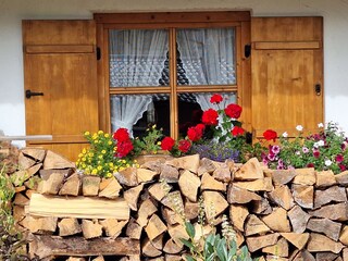 Ferienwohnung Oberau im Zugspitzland Außenaufnahme 4