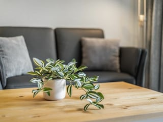 Wohnzimmerdetail