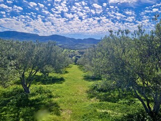 Blick von der Terrasse