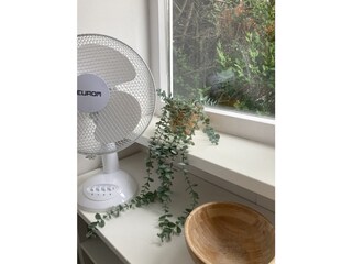 Holiday apartment Egmond aan Zee Features 20