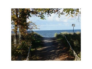 Ferienwohnung Zingst Außenaufnahme 15