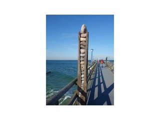 Ferienwohnung Zingst Außenaufnahme 16