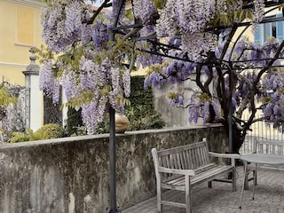 Pool terrace