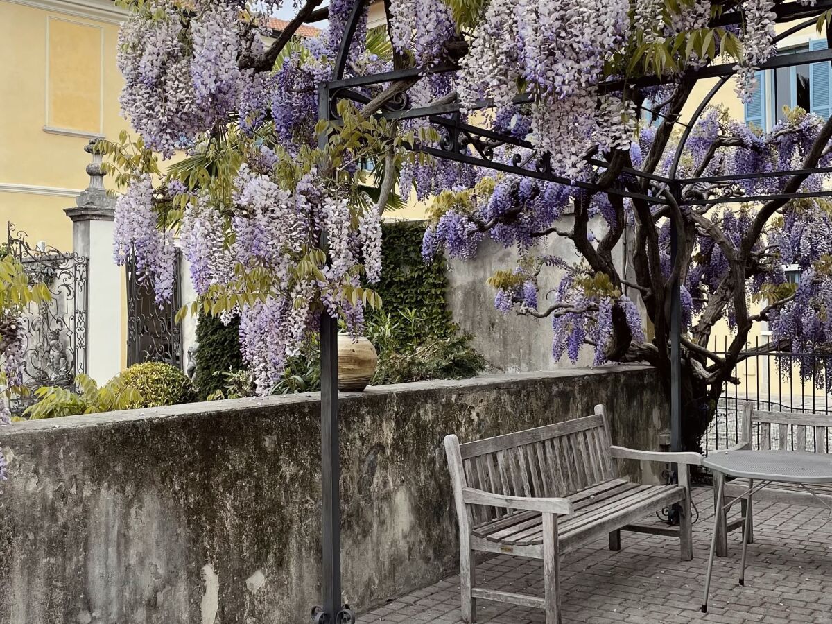 Pool Terrasse