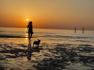 Appartamento Ostende Ambiente 25