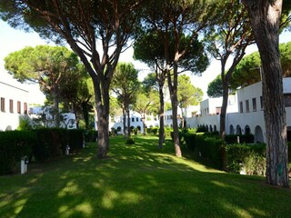Holiday house Pals  17