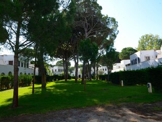 Holiday house Pals  29