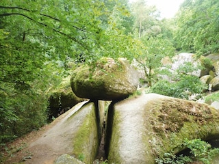 Cottage Welt Umgebung 26