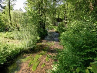 Vakantiehuisje Welt Omgeving 13