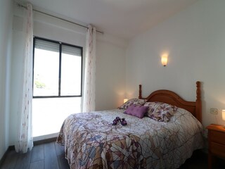 Apartment Roses  12