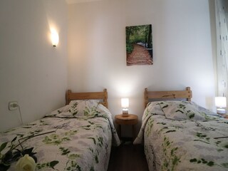 Apartment Roses  14