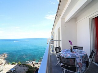 Apartment Roses  15